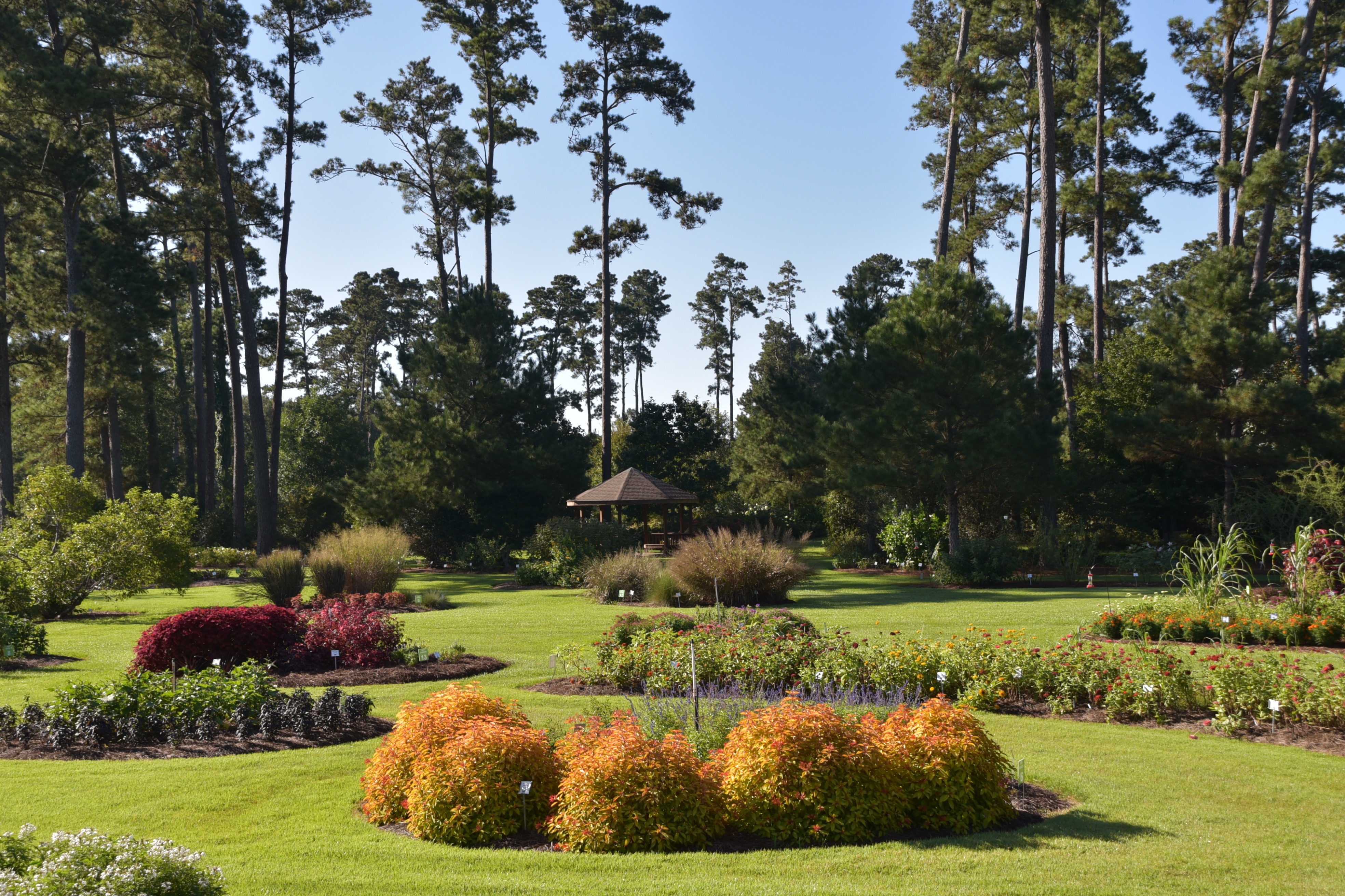 Landscape, horticulture industry field day set for Oct. 11 in Hammond